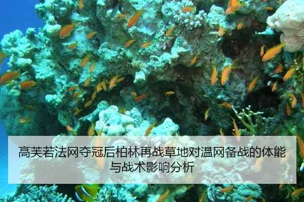 高芙若法网夺冠后柏林再战草地对温网备战的体能与战术影响分析