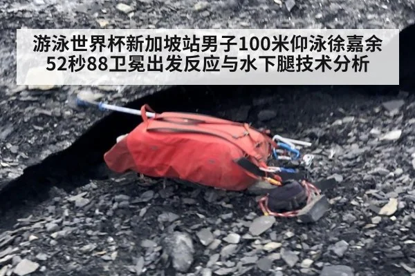 游泳世界杯新加坡站男子100米仰泳徐嘉余52秒88卫冕出发反应与水下腿技术分析